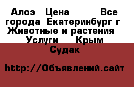 Алоэ › Цена ­ 150 - Все города, Екатеринбург г. Животные и растения » Услуги   . Крым,Судак